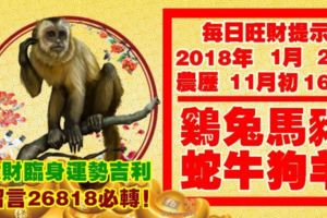 今天1月2日,每日旺財提示：雞兔馬豬，蛇牛狗羊。大財臨身！運勢吉利留言26818必轉！