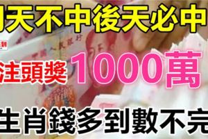 明天不中後天必中！一注頭獎1000萬6生肖錢多到數不完！