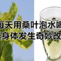 他每天用桑葉泡水喝，30天身體發生奇妙改變！