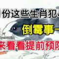 9月份這些生肖犯小人，倒黴事一堆，快來看看提前預防