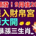 橫財頻發！9月後20天，財星入財帛宮，財源大開，存款暴漲的生肖