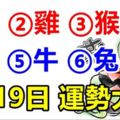 9月19日，運勢大旺的六個生肖，但願你榜上有名！