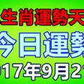 十二生肖運勢天天看，今日運勢：9月21日