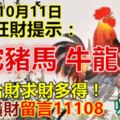 今天10月11日，每天旺財提示：雞蛇豬馬，牛龍兔狗。天地合財求財多得！要發橫財留言11108必轉！