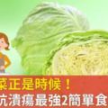 吃高麗菜正是時候！消疲勞抗潰瘍最強2簡單食譜