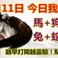 11月11日，今日我最旺！馬+狗+龍+兔+蛇+雞！【22688】越早打開越靈驗！點個贊吧！