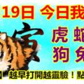 12月19日，今日我最旺！虎蛇雞狗兔牛！【16688】越早打開越靈驗！點個贊吧！