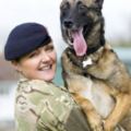這隻狗狗救了女軍官一命，卻要被安樂死，女軍官帶它回家養它終老