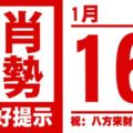 生肖運勢，天天好提示（1月16日）