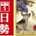 2月5號(一)12生肖運勢+指數