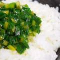 日本網友公開最讓人一吃就停不下口的蔥花飯秘方！只需兩樣東西…蔥花也可以變主角！