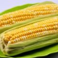 吃玉米的好處很多，但醫生卻說，這5大食用玉米的禁忌不可忽視