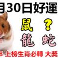 3月30日好運生肖，家和事順好運來！【鼠+？+馬+龍+蛇+狗】『83388上榜生肖必轉大獎入手！』