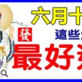 今日是六月十九「觀音菩薩成道日」，這七個生肖最好運。