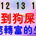 8月12，13，14號開始踩到狗屎運，有望由窮轉富的生肖~