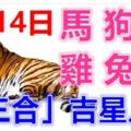 8月14日生肖運勢_馬、狗、豬大吉