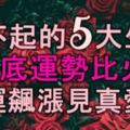 惹不起的5大生肖，8月底運勢比火旺，財運飆漲見真愛，十有八九成財主！