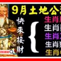 9月份，土地公公大派財給5大生肖，有運了