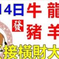 9月14日生肖運勢_牛、龍、蛇大吉