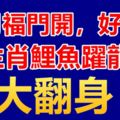 10月福門開，好運來，3生肖鯉魚躍龍門，大翻身！