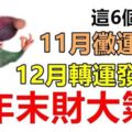 這6個生肖，11月黴運纏身，12月轉運發大財，年末財大氣粗