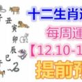 十二生肖運勢：每周運勢【12.10-12.16】提前預知！