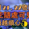 12月21、22號兩天，大運將來，桃花隨處可見，越過越順心的5大生肖！