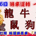 1月16日時來運轉一路發，龍牛兔鼠狗猴，88秒內打開，好運跟著來『16888』