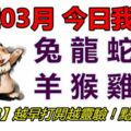 13號03月，今日我最旺！兔龍蛇馬羊猴雞狗！【33998】越早打開越靈驗！點個讚吧！