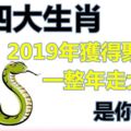 2019年獲得聚寶盆一整年都能走大運的四大生肖，是你嗎？