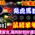 2019年6月18日，星期二，農歷五月十六（己亥年庚午月丙戌日）