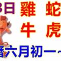 2019年7月3日，星期三，農歷六月初一（己亥年庚午月辛丑日）