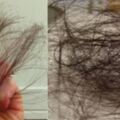 一洗頭就會掉頭髮？六招讓你頭髮少掉90％！