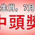 這些生肖，7月25日，中頭獎