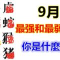 9月最強和最弱運勢的屬相~你是什麼呢？