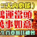 15天內三大生肖必能鴻運當頭，萬事如意