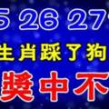 4月25、26、27號，這六大生肖踩了狗屎運，大獎中不停