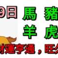 7月9日生肖運勢_馬、豬、狗大吉