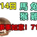 7月14日生肖運勢_馬、兔、豬大吉