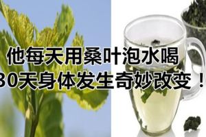 他每天用桑葉泡水喝，30天身體發生奇妙改變！