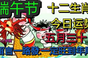 端午節十二生肖每日運勢2017年5月30日，今日卦象與宜忌