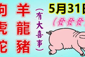 5月31日，五月的最後一天！生肖狗、羊、虎、龍、蛇、豬！有大喜事！