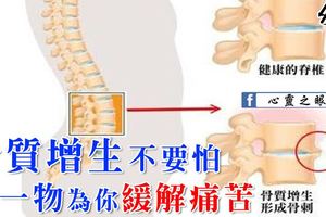 得了骨質增生不要怕，有這一物為你緩解痛苦