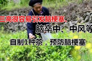 農民自製1種茶，預防腦梗塞比600元1顆的安宮牛黃丸好，製作簡單