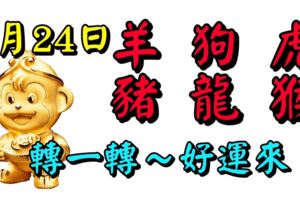 6月24日，生肖羊、狗、虎、豬、龍、猴！轉一轉。好運來！