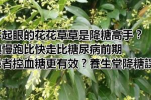 不起眼的花花草草是降糖高手？與慢跑比快走比糖尿病前期患者控血糖更有效？養生堂降糖誤區隱藏的致命陷阱