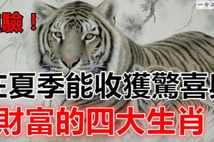 在夏季能收獲驚喜與財富的四大生肖！