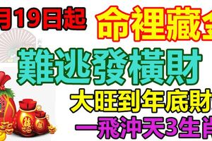 7月19日起命裡藏金，難逃發橫財，大旺到年底財運一飛沖天3生肖