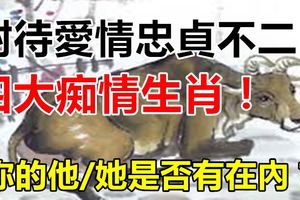 對待愛情忠貞不二的四大痴情生肖！【你的他/她是否有在內？】