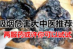 吸煙危害大中醫推薦這兩服藥或許你可以試試